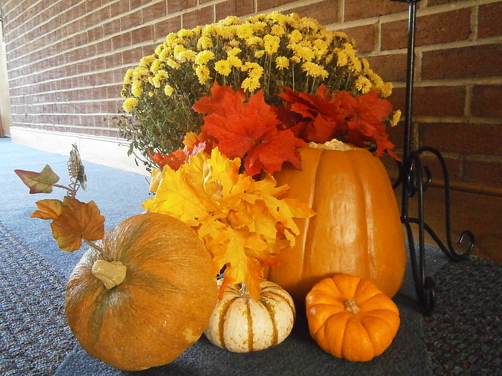 falder, efterår, græskar, sæson, Thanksgiving, årstidens, dekoration