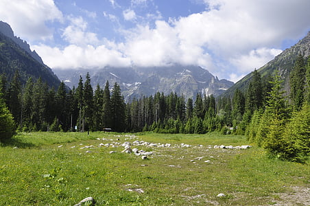 Tatrai, slėnyje,, kraštovaizdžio, akmenys, Gamta, Aukštuosiuose Tatruose, nacionalinis parkas