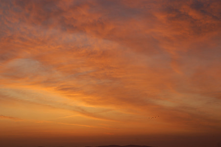 日の出, 鳥, ポルトガル, ヨーロッパ, アレンテージョ地方, 空, 雲