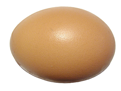 quả trứng, cẩn, chất đạm, vỏ, ovoid, thực phẩm, thành phần