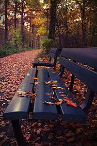 banka, parku, podzim, odpočinek, pryč, lavice