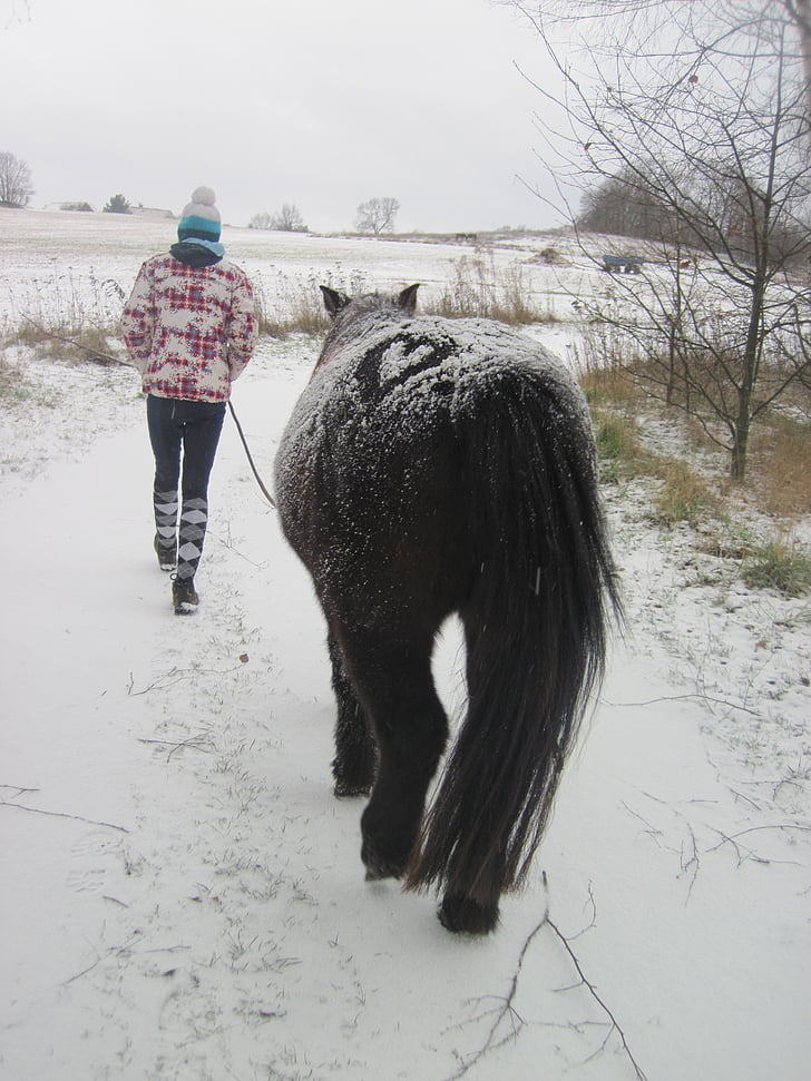 Pony, Schnee, Kind, Winter, eingeschneit, Herz, Rap