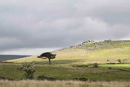Dartmoor, Tor, Devon, Moor, Roca, granit, salvatge