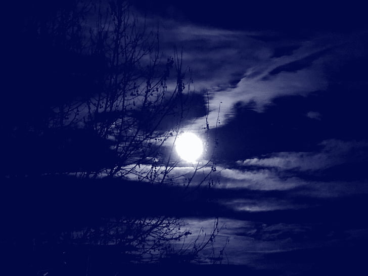 Luna piena, nuvole, rami, albero, notte, cielo, flare