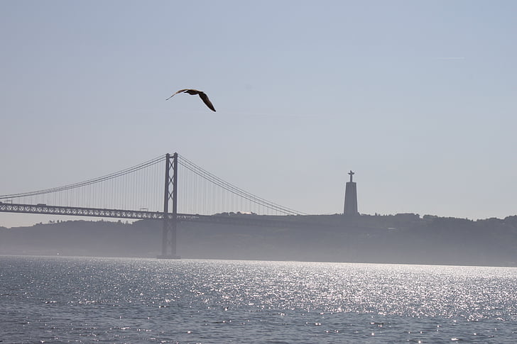 мост, Лисабон, Чайка, Португалия