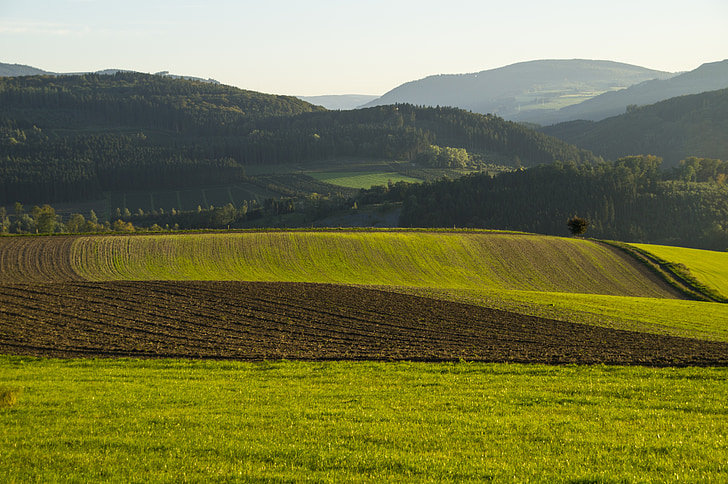 field, arable, seed, winter sowing, mountains, sauerland, highlands