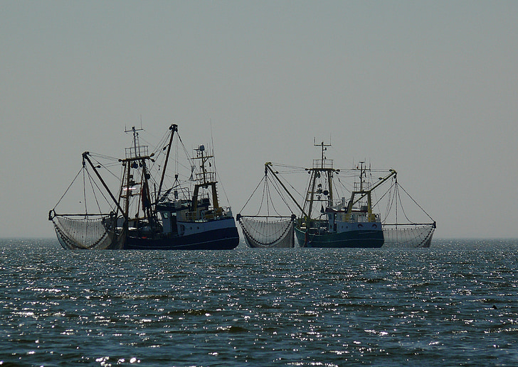 člny, Fischer, rybársky čln, rybárske siete, Rybolov, rybárske plavidlo, Port