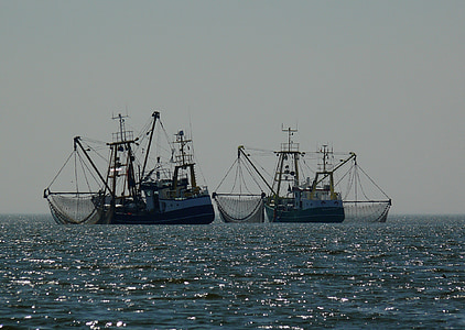 båtar, Fischer, fiskebåt, fisknät, fiske, fiskefartyg, hamn
