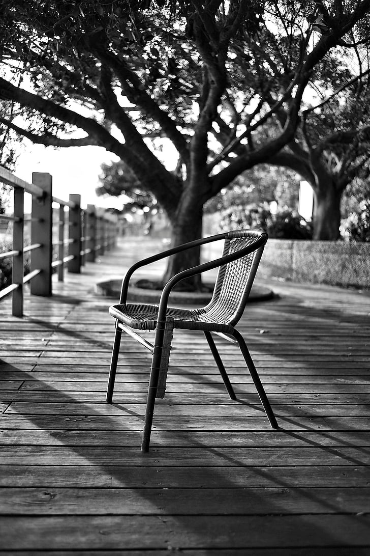 μαύρο και άσπρο, καρέκλα, έπιπλα, Κάγκελα, κάθισμα, σκιά, δέντρο