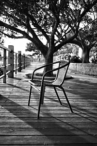 black-and-white, chair, furniture, railings, seat, shadow, tree