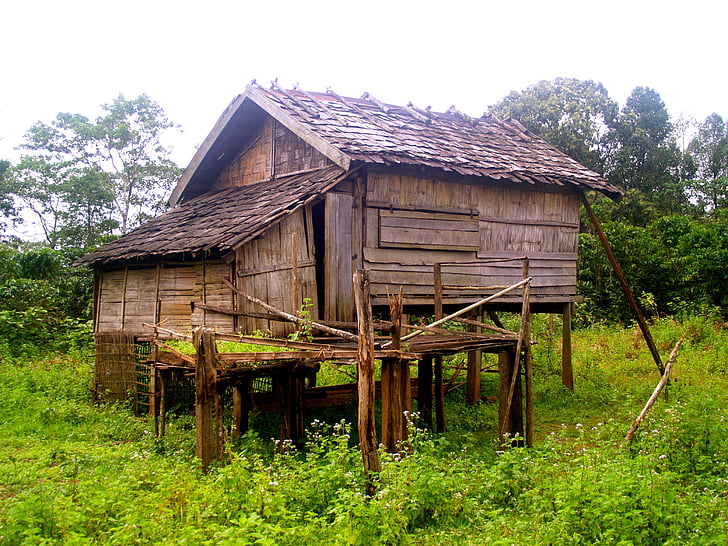 pile dwelling, crannog, stilt houses, hut, cabin, wooden, shack