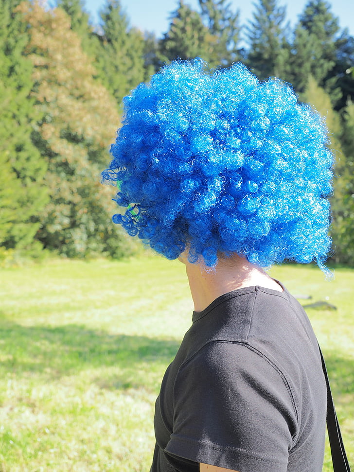 parukas, sinine, juuksed, paneel, lõbus, karneval, kleit