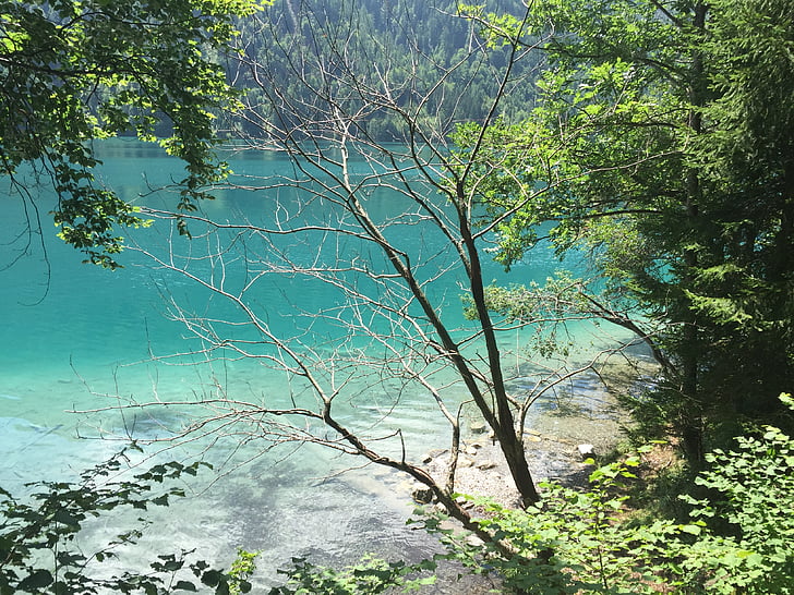езеро, езеро weissensee, зелена вода, лято
