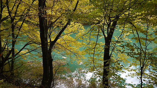 green, lake, nature, landscape, trees, national park, water reflection