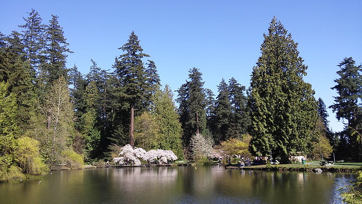 foreign countries, park, sunny, pond, canada, nature, tree