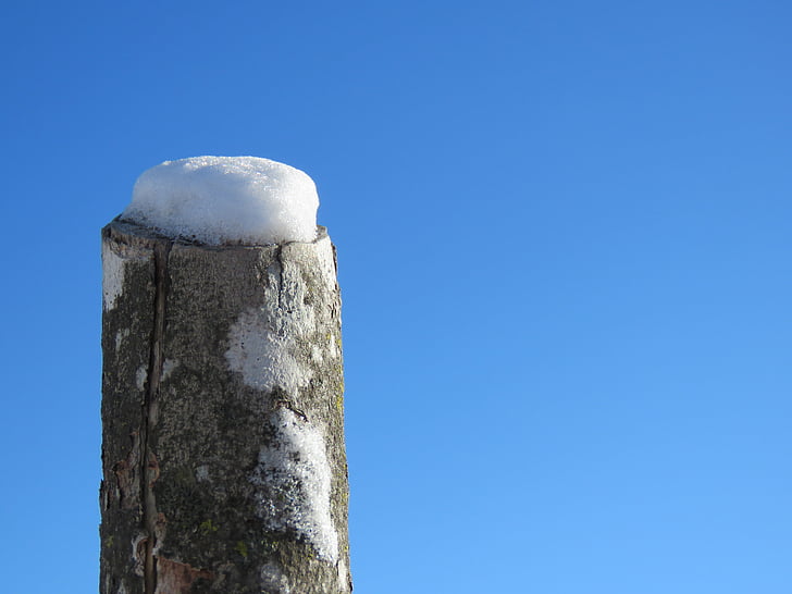 winter, snow, post, spruce, ottawa, blue sky, old