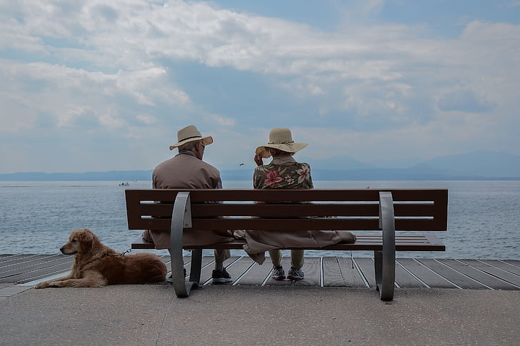 bench, boardwalk, clouds, dog, ocean, people, sea