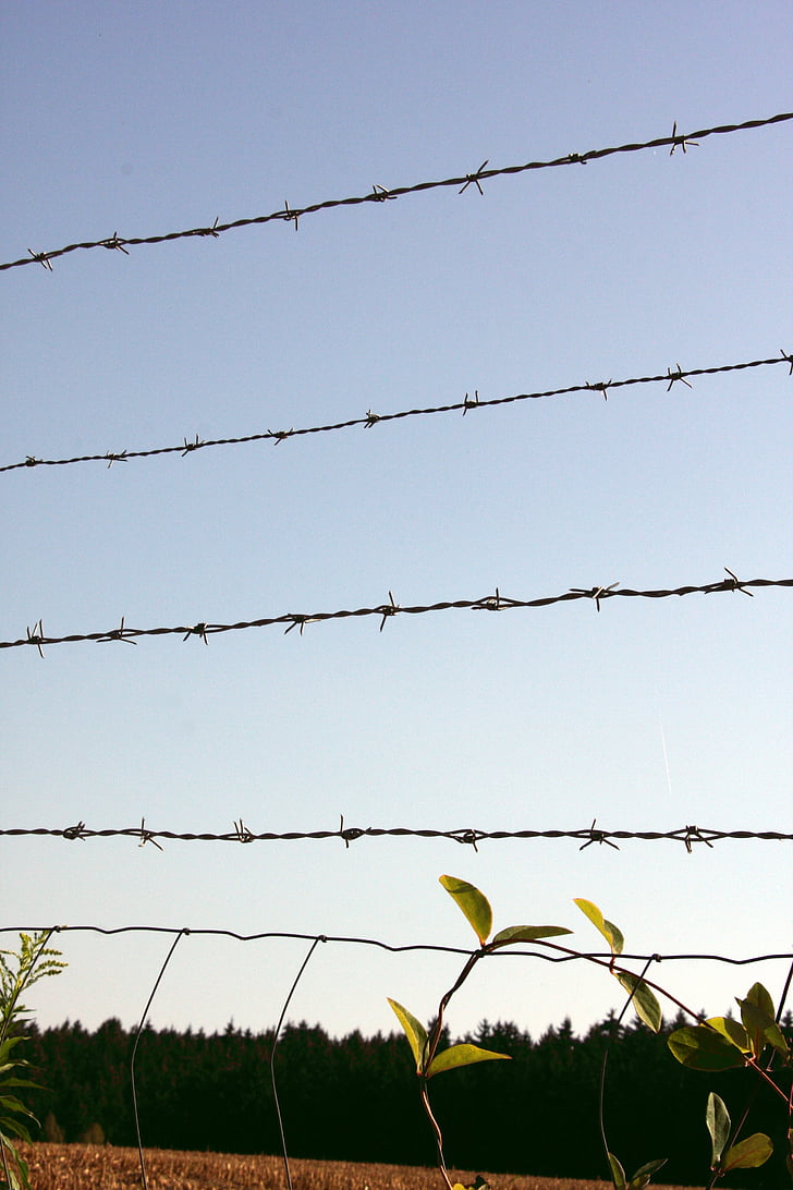 barbed wire fence, barbed wire, metal, fence, iron, risk, caution