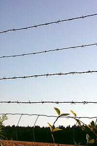 barbed wire fence, barbed wire, metal, fence, iron, risk, caution