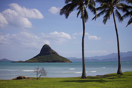 hawaii, oahu, beach, ocean, sea, outdoor, tropical