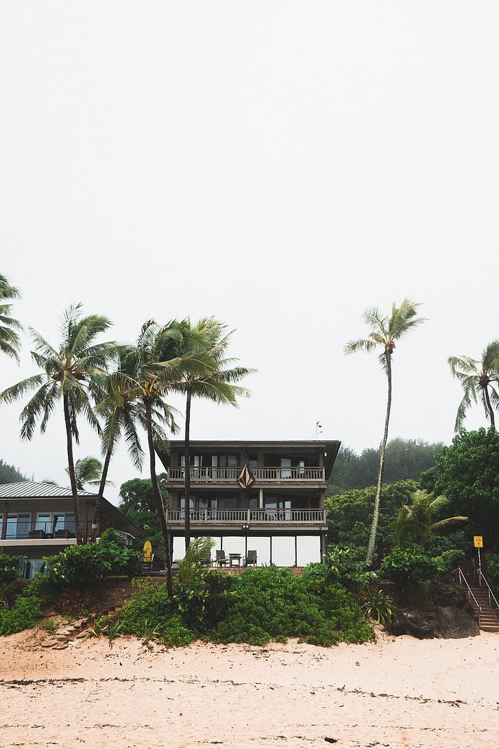 casa de platja, tropical, al costat del mar, Costa, casa, casa, vacances
