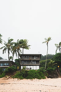 Strandhaus, tropische, am Meer, Küste, Haus, nach Hause, Urlaub