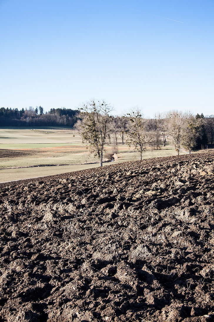 Arable, plowed, trái đất, Plaice, cảnh quan, vùng Upper bavaria, mùa xuân