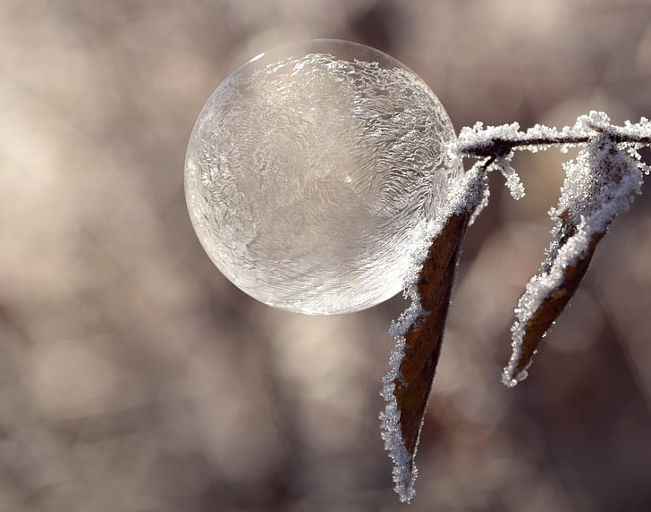 Bubble, balon de săpun, bile, fundal, iarna, rece, Frost