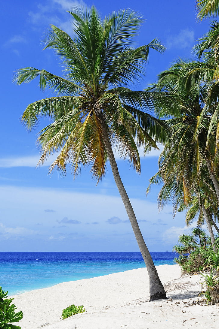Atoll, stranden, par, destination, Holiday, smekmånad, ön