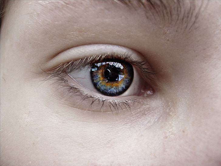 ull, germana, blau, ull humà, close-up, macro, persones