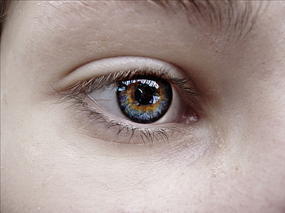 œil, soeur, bleu, oeil humain, gros plan, macro, gens