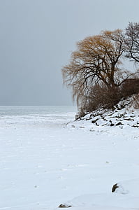 Zimní pobřeží, LED, sníh, zmrazené, jezero, Příroda, krajina