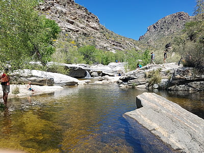 Parque, água, deserto, Tucson, Arizona, natureza, férias