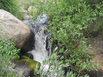 Creek, agua, naturaleza, paisaje, flujo