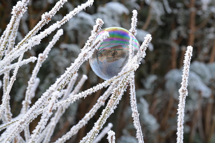 winter, snow, hoarfrost, soap bubble