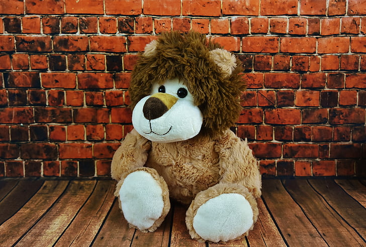 soft toy, lion, stuffed animal, funny, cute, kuschelweich, teddy bear