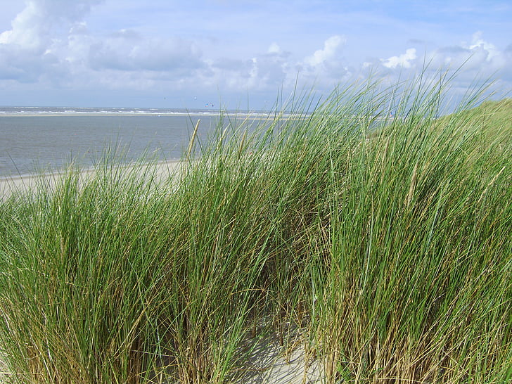 plaja cu nisip, nisip, mare, Langeoog, Marea Nordului, scaun de plaja, Dune