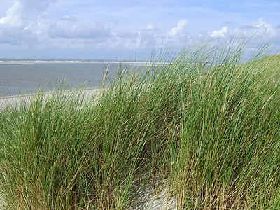 písečná pláž, písek, Já?, Langeoog, Severní moře, Plážové křeslo, Duna