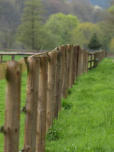 フェンス, 木製の柵, 制限, パドック