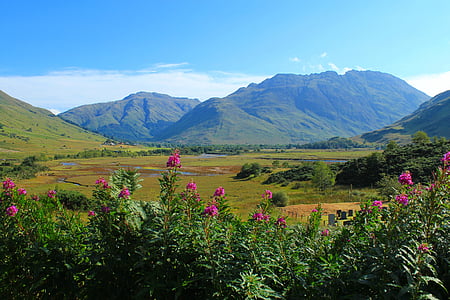 Skottland, högländerna och öarna, bergen, blommor, landskap