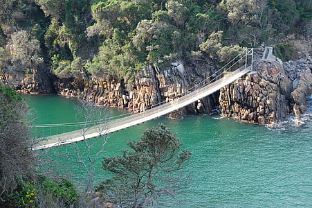 jembatan suspensi, Afrika Selatan, kabel, Jembatan, arsitektur, tsitsikama, Taman Nasional