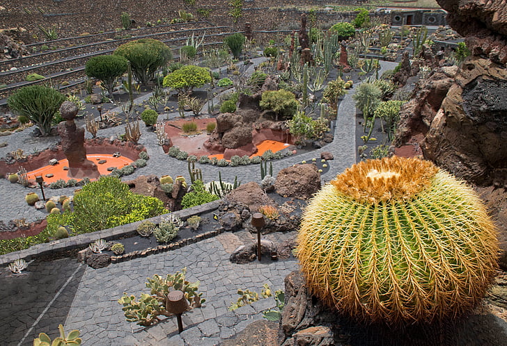 Jardin de cactus, cactus, Lanzarote, España, atracciones de África, Guatiza, lava