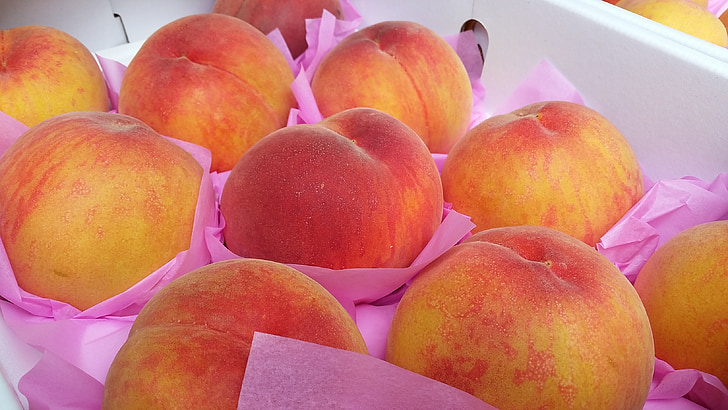 Peach, l’écliptique, fruits