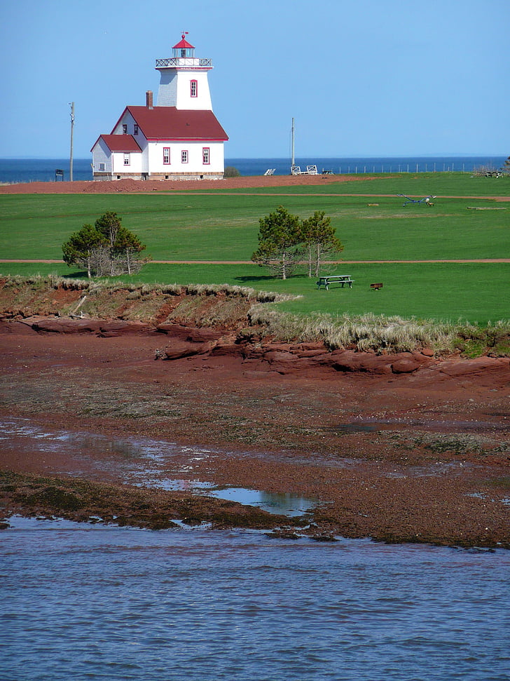 Lighthouse, Ostrov princa Eduarda, Kanada, budova, Shoreline, Beach, scenérie