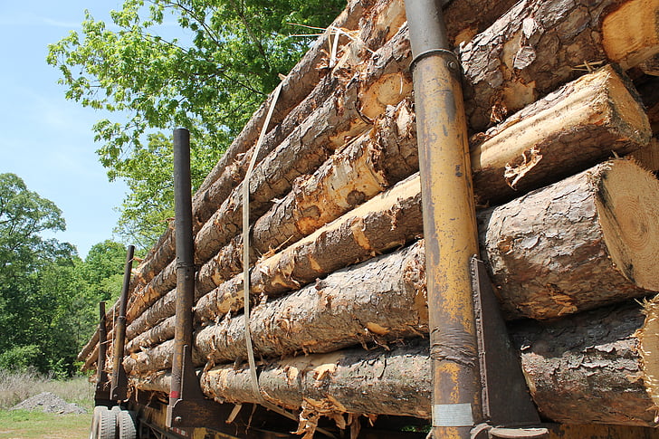 lumber, trailer, wood, tree, trunk, dead tree, cutting