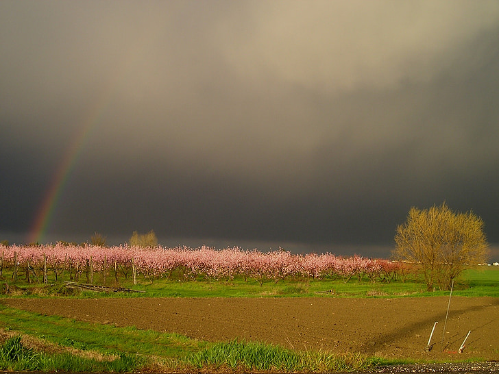 tempestad de truenos, arco iris, primavera