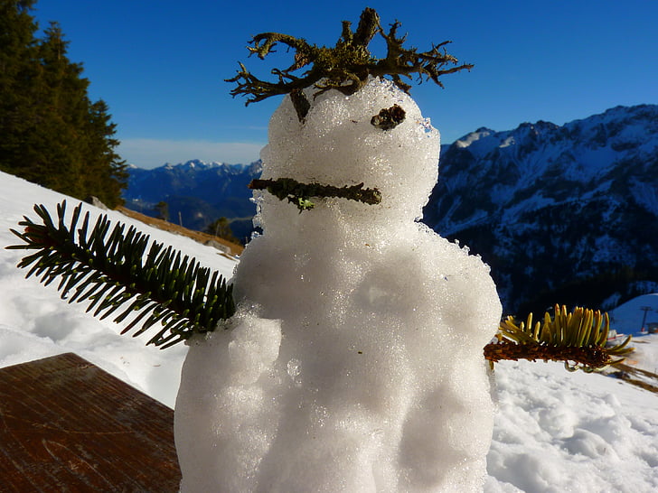 l'home de neu, l'esperit de muntanya, esperit, l'hivern, fred, diversió, mascles