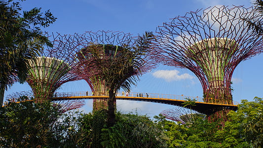 Сингапур, деревья, залив