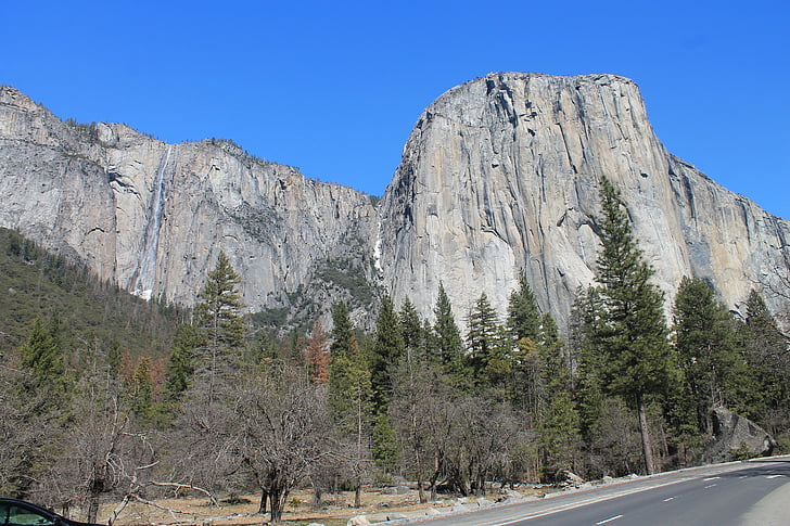 El capitan, Yosemite, árvore, Parque, Califórnia, nacional, paisagem