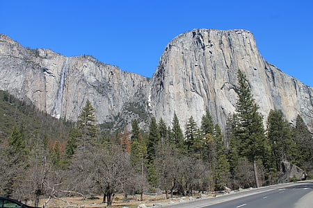 El capitan, Yosemite, drzewo, Park, Kalifornia, krajowe, krajobraz